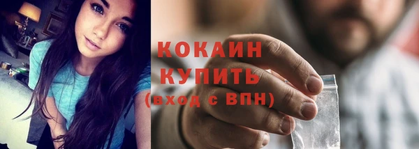 винт Липки