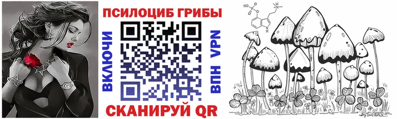Купить где  Киселёвск  Псилоцибиновые грибы прущие грибы 